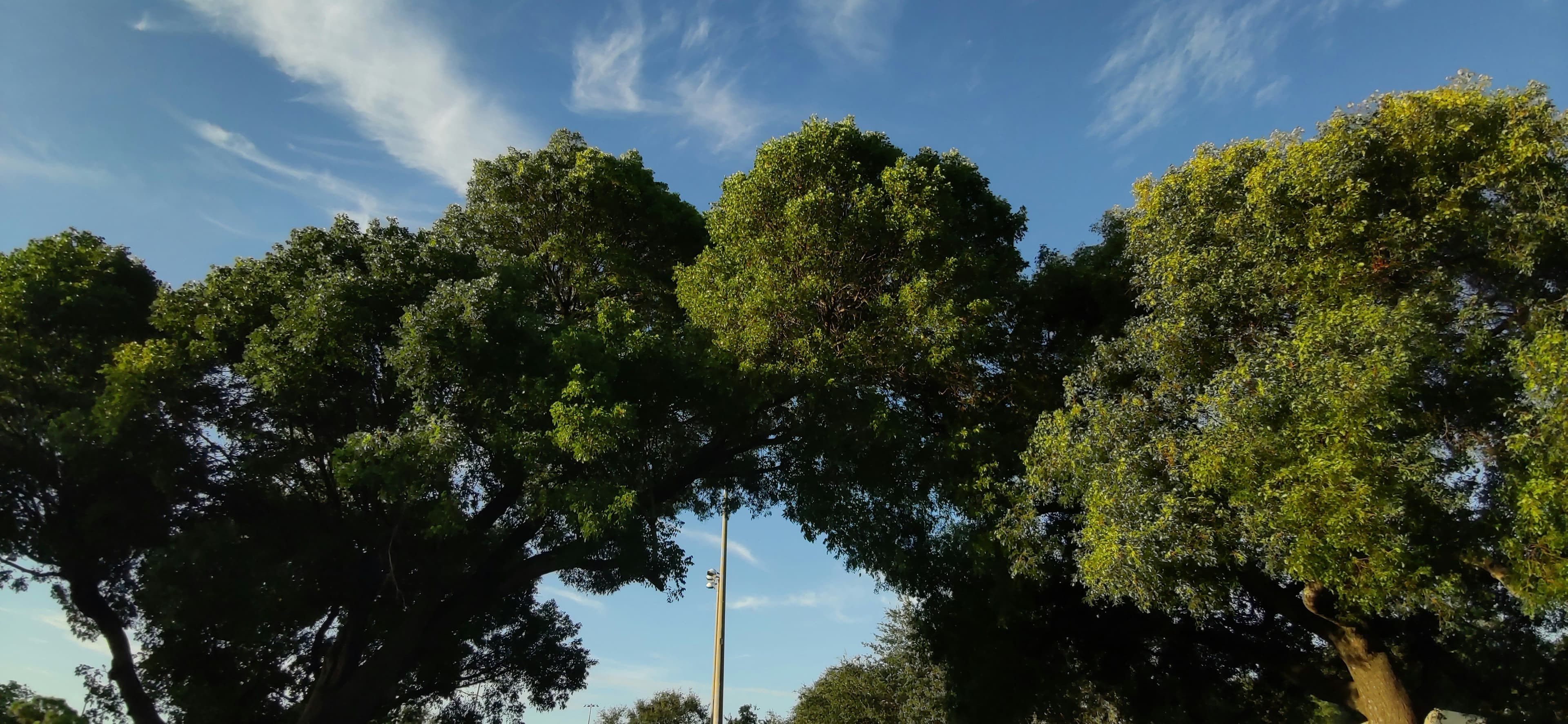 Fort Lauderdale DDA Chief Drives $15M Park Transformation